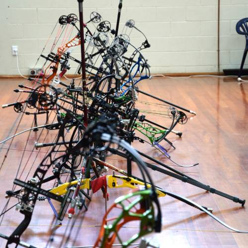 compound and recurve archery bows
